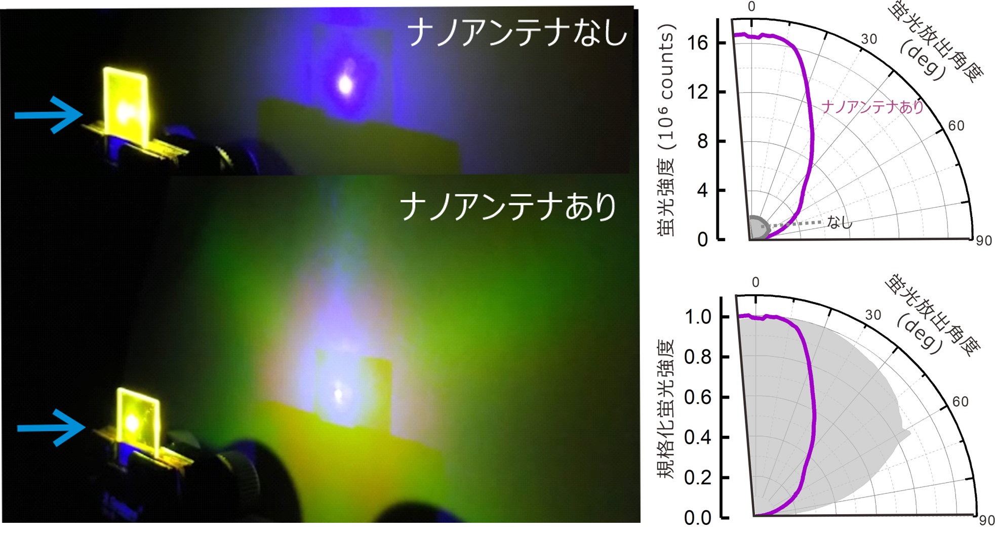 図3 ナノアンテナ蛍光体からの蛍光放出挙動