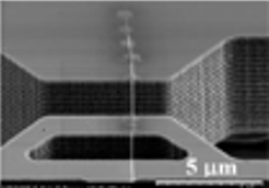 SiCナノワイヤを応用したMEMSセンサデバイスの研究