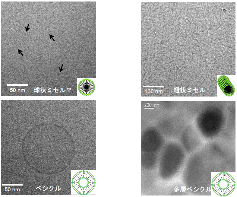 極低温高分解能透過電子顕微鏡
