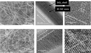 図1 Core/Shell-SiCナノワイヤーのSEM/TEM像